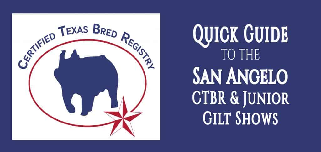 Quick Guide To San Angelo Junior Gilt Show And Texas Stars Show